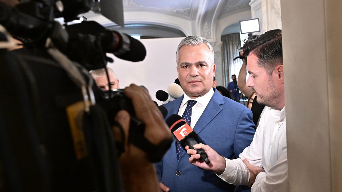 adrian vestea a povestit ca nicusor dan l a tinut sambata seara pana tarziu sa ii explice dezastrul in care se afla romania