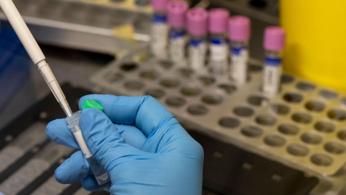 europa se pregateste sa aprobe noi organisme modificate genetic omg protestele au inceput deja