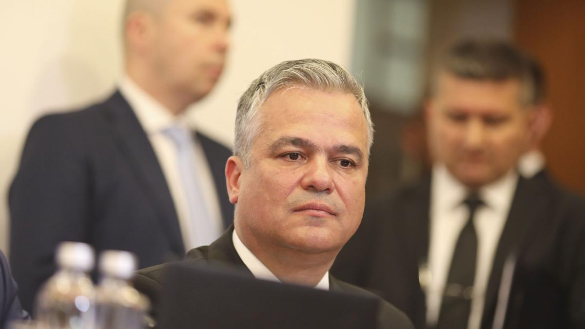toni neacsu sunt motive pentru a se sesiza un conflict juridic de natura constitutionala pnl detine doua functii care pot sesiza ccr
