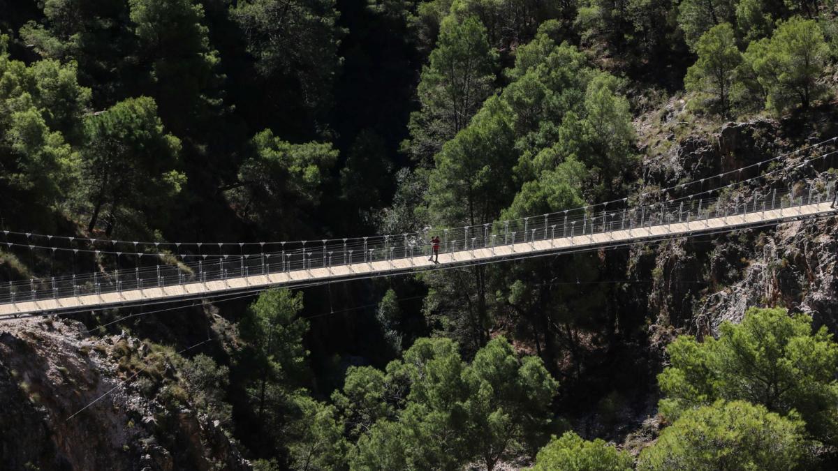 o comuna din romania va construi cel mai inalt pod suspendat din europa va deveni o destinatie turistica de top