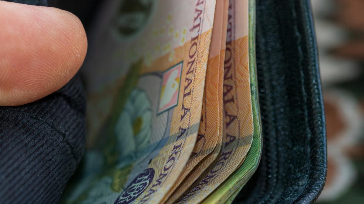 portofel bancnote romanesti ron lei bani cash