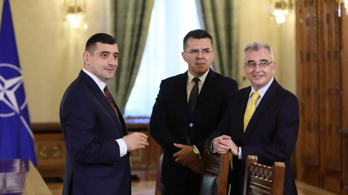 rupe vestea voturi de la aur pentru guvern petrisor peiu se pot intampla accidente