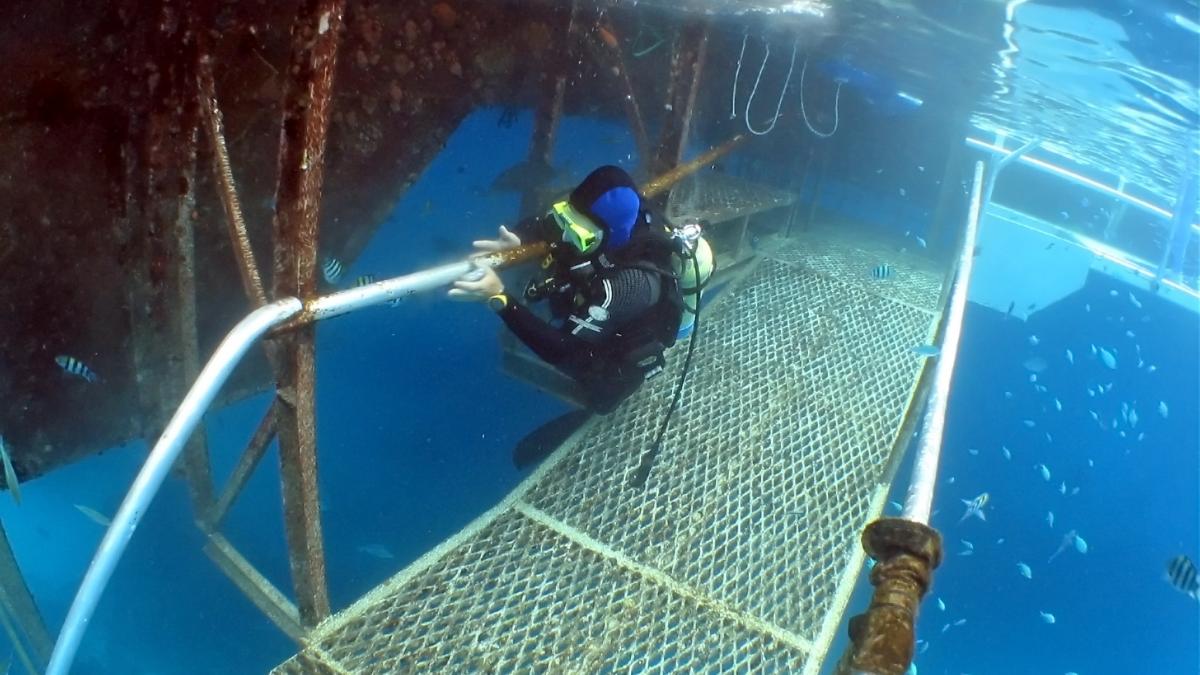 se cauta scafandri care sa curete scoici de pe coca navelor care asteapta sa navigheze prin stramtoarea ormuz