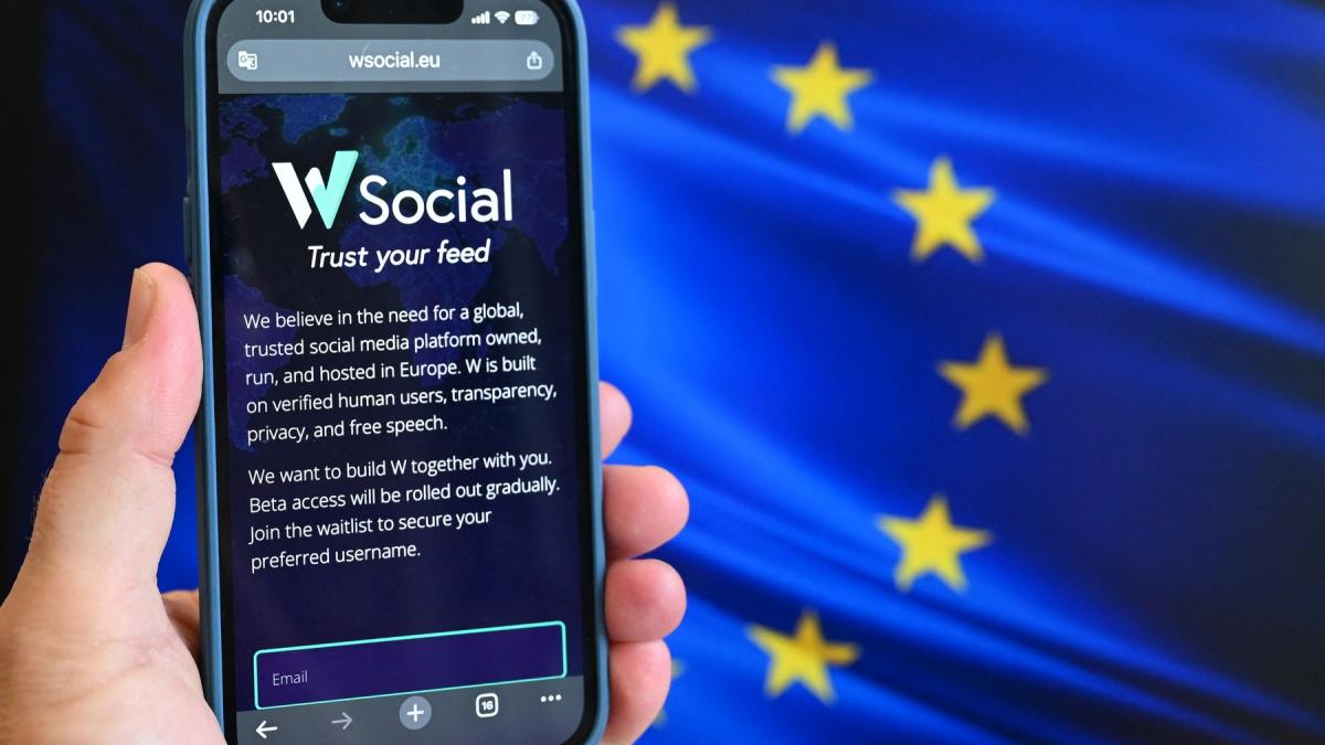 retea sociala w social europa alternativa europeana la x si meta