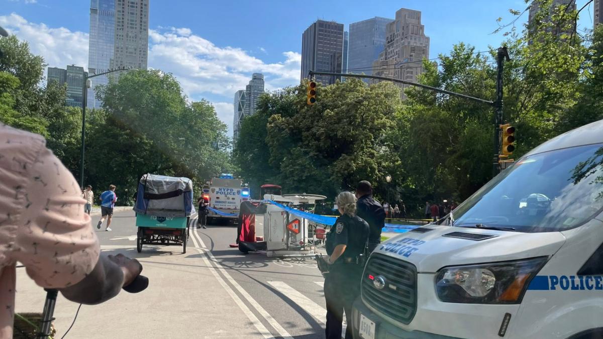 accident mortal trasura cal central park new york 17 iunie 2026