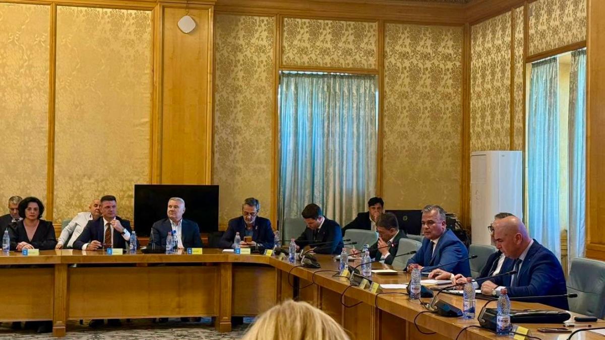consiliul national al pnl se reuneste vineri pentru convocarea unui congres extraordinar al partidului