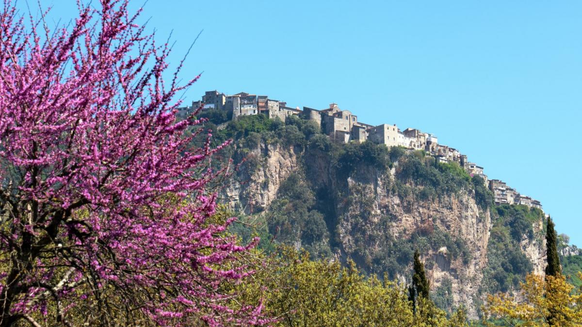 norma italia