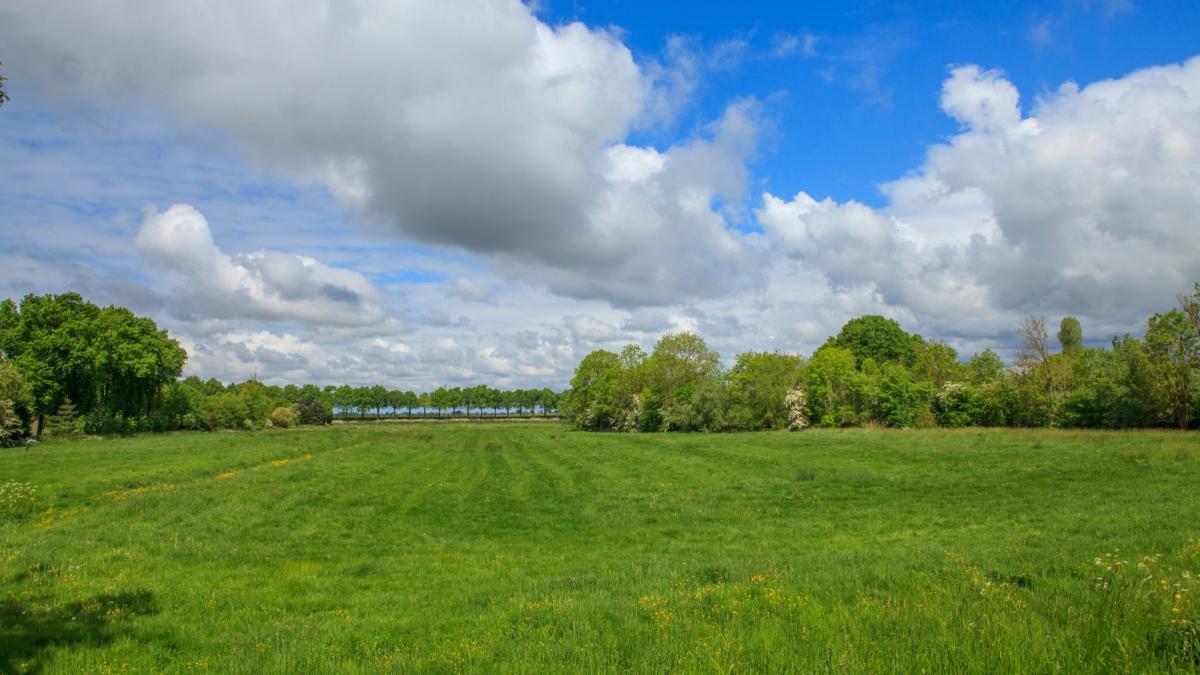 teren agricol
