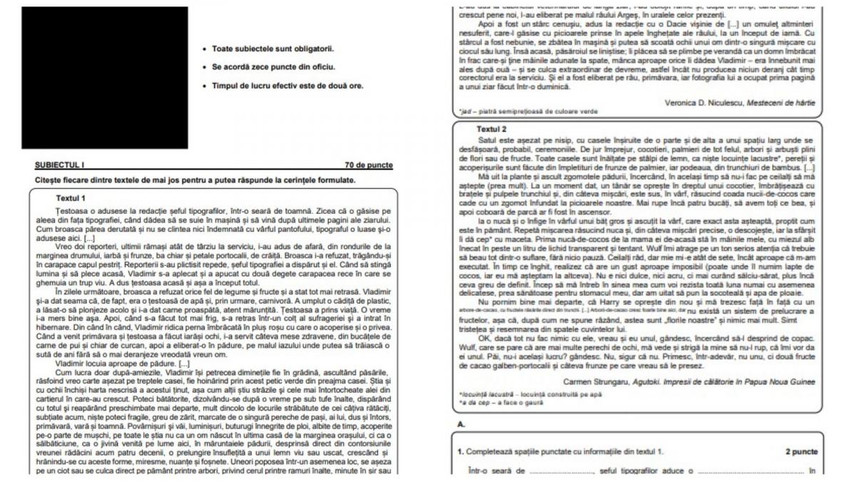 cum au aparut subiectele la romana de la evaluarea nationala 2026 pe grupurile de parinti la scurt timp dupa inceperea examenului