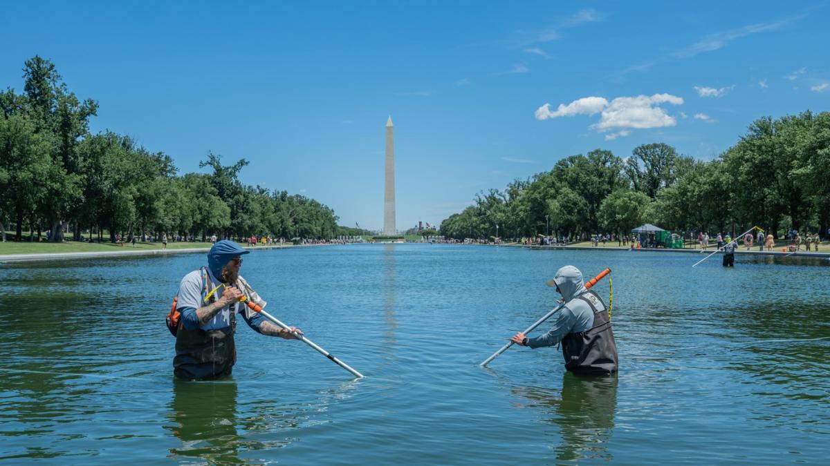 bazinul reflectorizant din washington va fi golit dupa ce apa a devenit verde din cauza algelor trump acuza si acte de vandalism