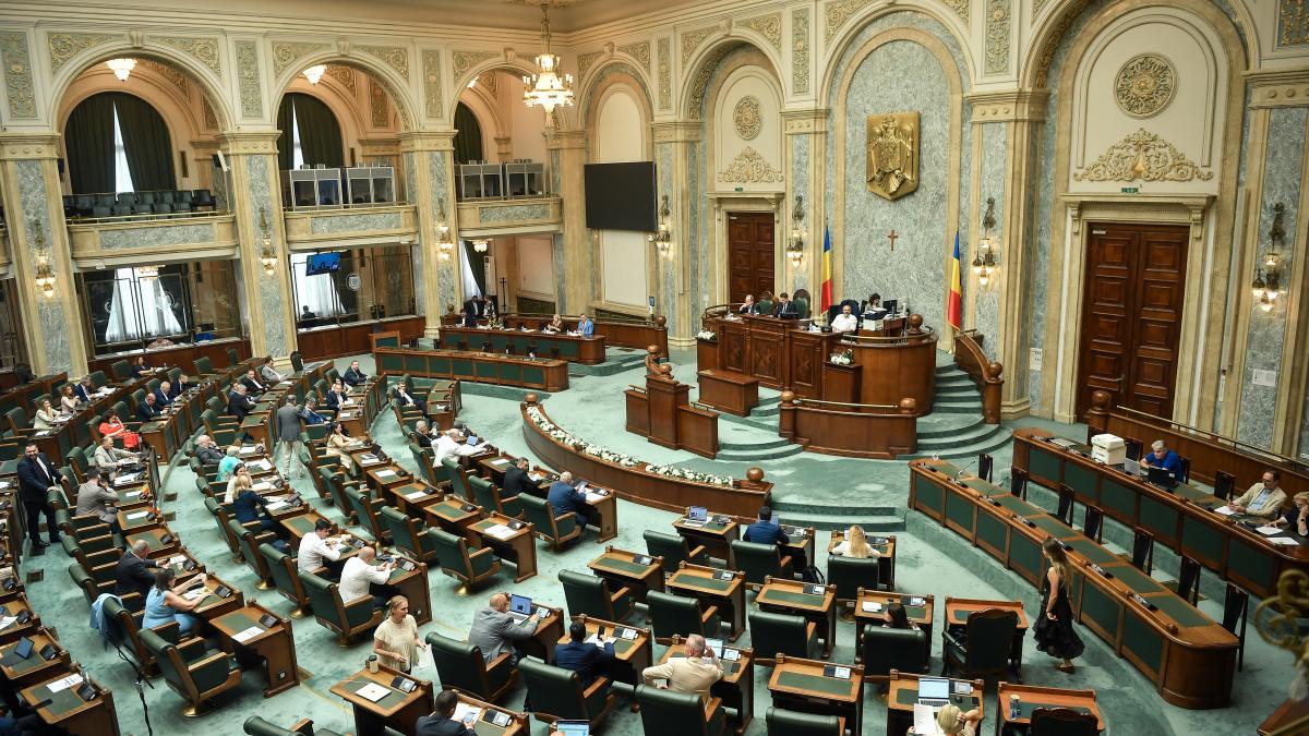 plenul senatului
