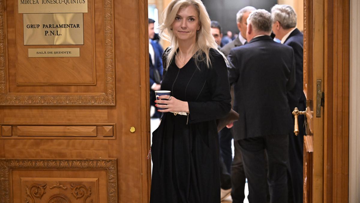 pnl acuza ca dosarul prin care se cere anularea congresului a fost repartizat la o fosta colaboratoare a alinei gorghiu