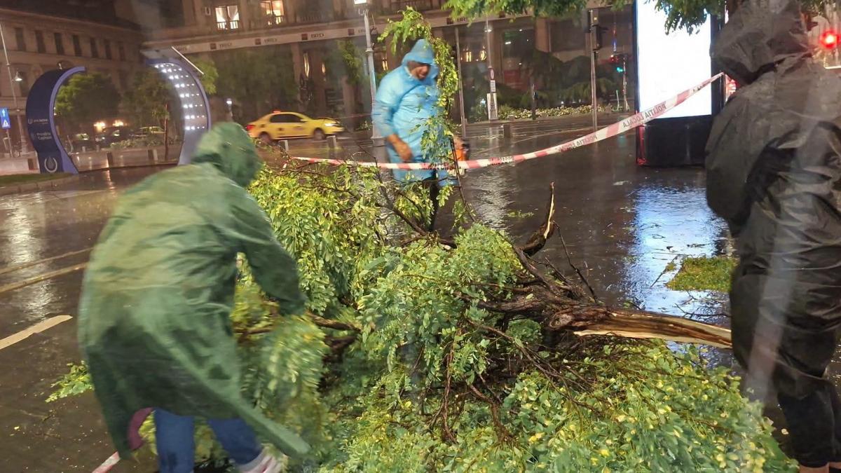 primarul ciucu le cere bucurestenilor sa nu iasa pe strazi urmeaza alte furtuni