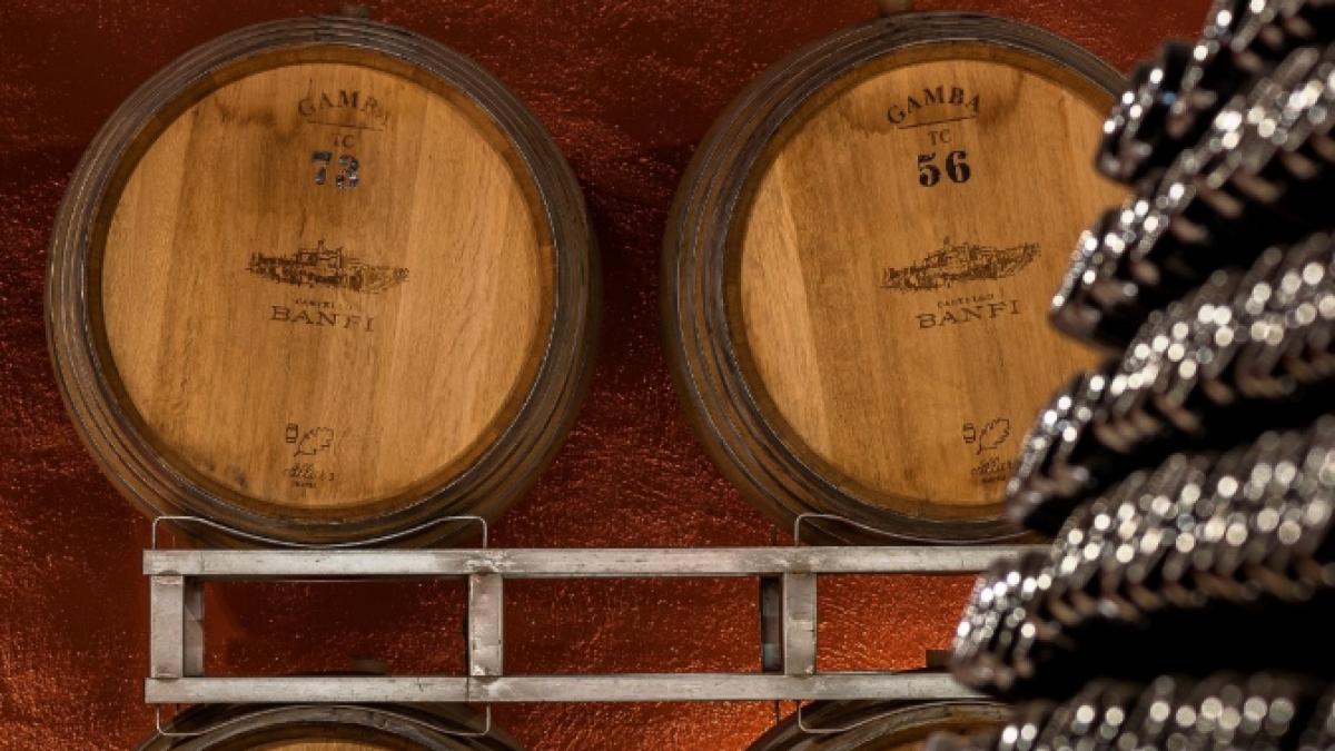 crama banfi din italia, butoaie si sticle de vin