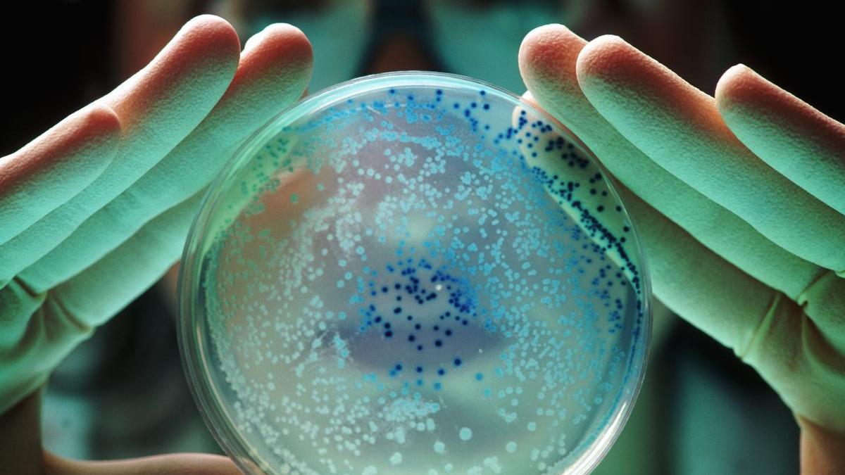 E.coli Getty