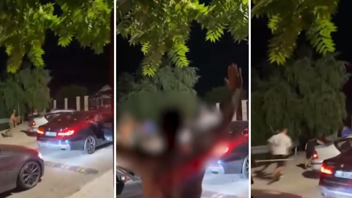 bataie cu sape si bate intre doua clanuri din ialomita unul dintre agresori a folosit un pistol