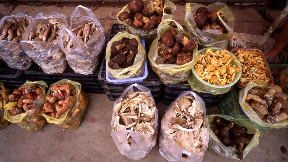 pungi cu ciuperci comestibile intr o piata din yunnan china