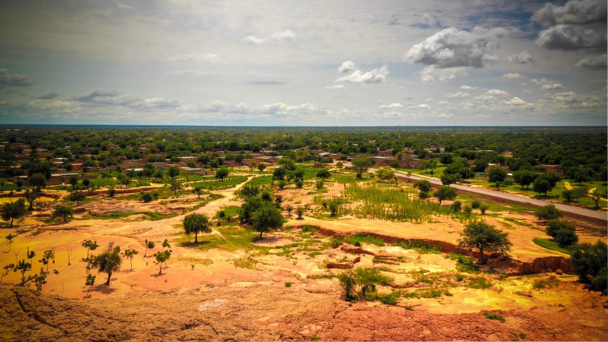 marele zid verde din africa zidul copacilor se construieste pe 8 000 km pentru a restaura terenurile si a hrani milioane de oameni