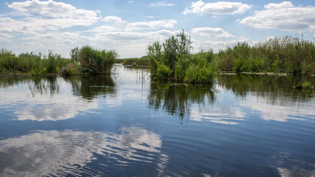 Delta Dunării