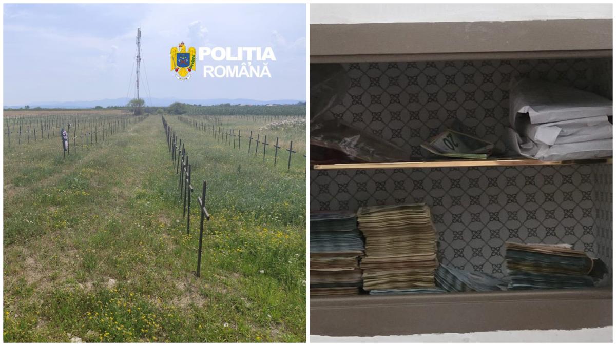 usr cere explicatii complete din partea statului privind relocarea persoanelor din azilele groazei din bihor