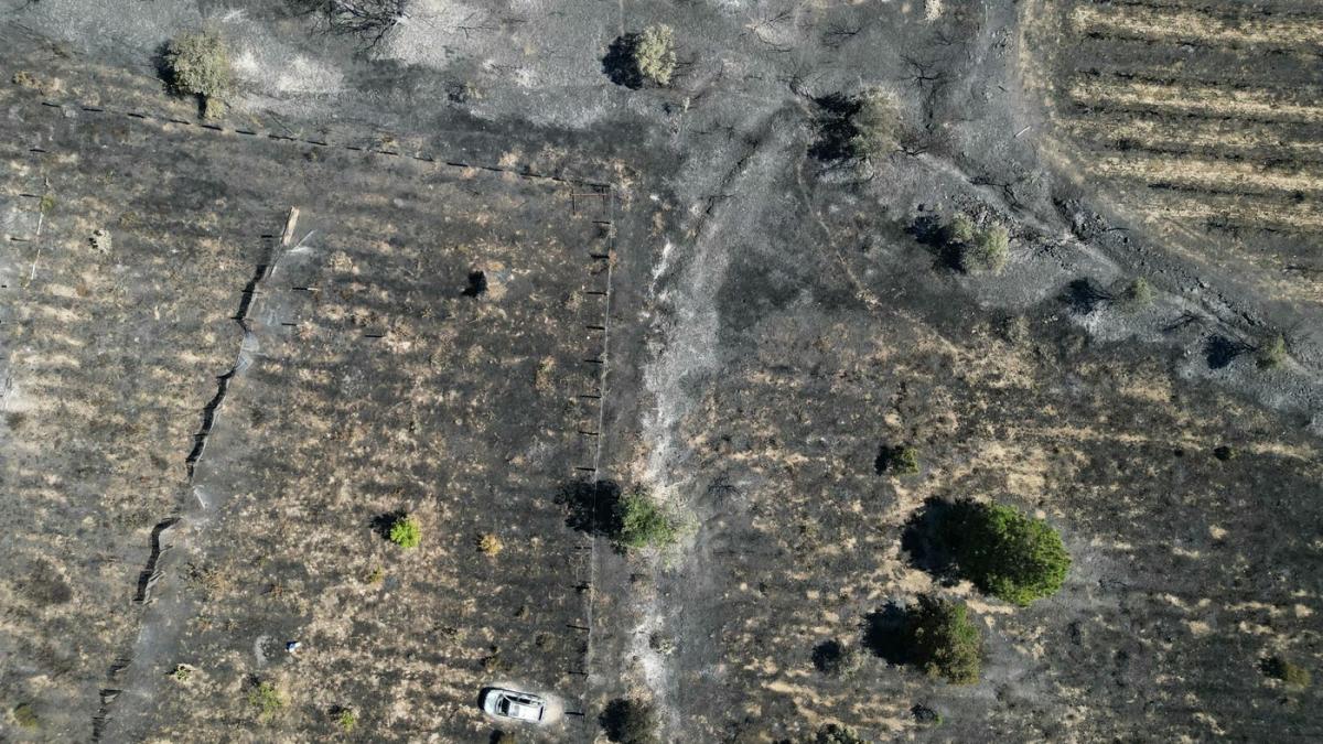 cum se vad de sus incendiile record din europa cum au contribuit indirect la producerea lor ploile abundente de la inceput de an