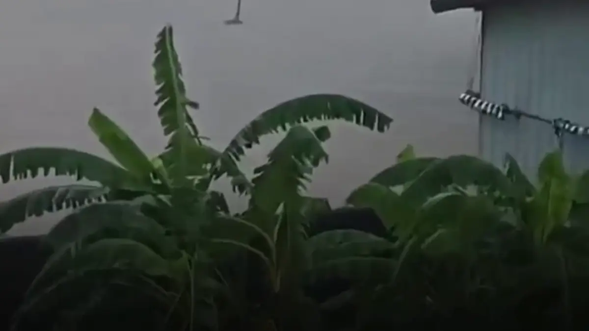 peste 900 de serpi au scapat de la o ferma in inundatiile din china imagini ca in jurassic park