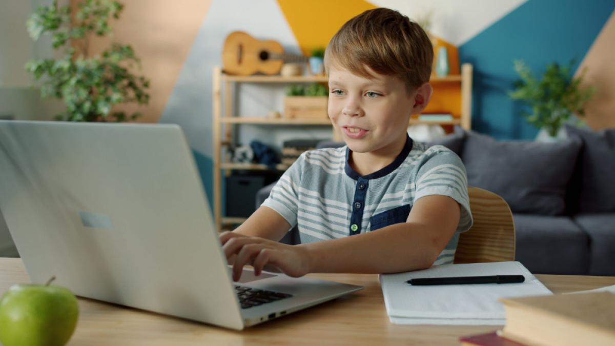 copil-care-tasteaza-pe-laptop