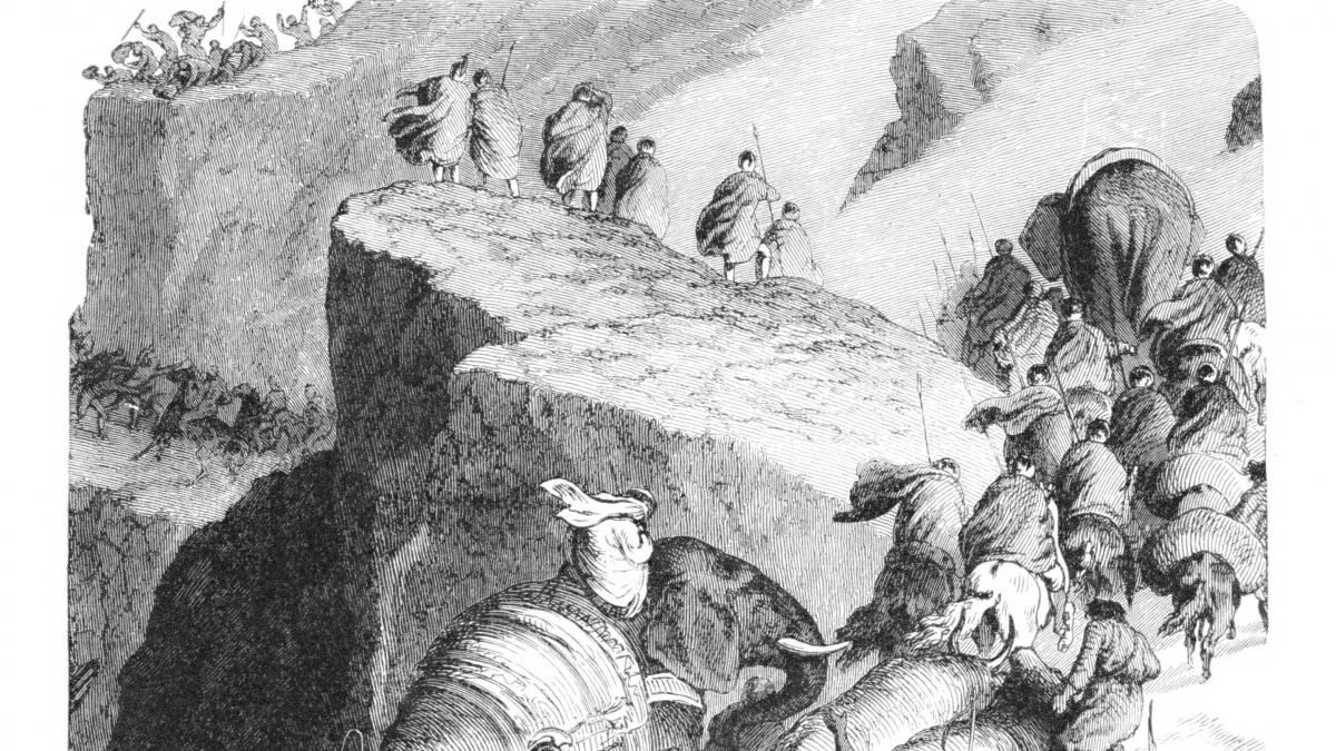 doi biologi au calculat consumul energetic al armatei lui hannibal de ce elefantii s au descurcat mai bine decat soldatii in alpi