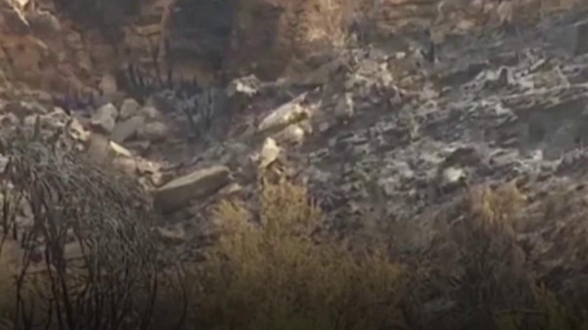 regiunea almeria a fost mistuita de flacari pompierii din spania nu au reusit inca sa tina sub control incendiile puternice