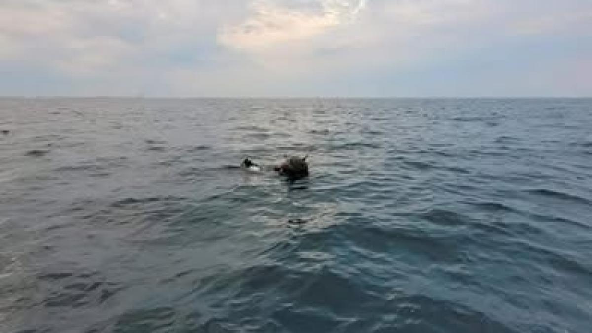 mină în derivă în mare