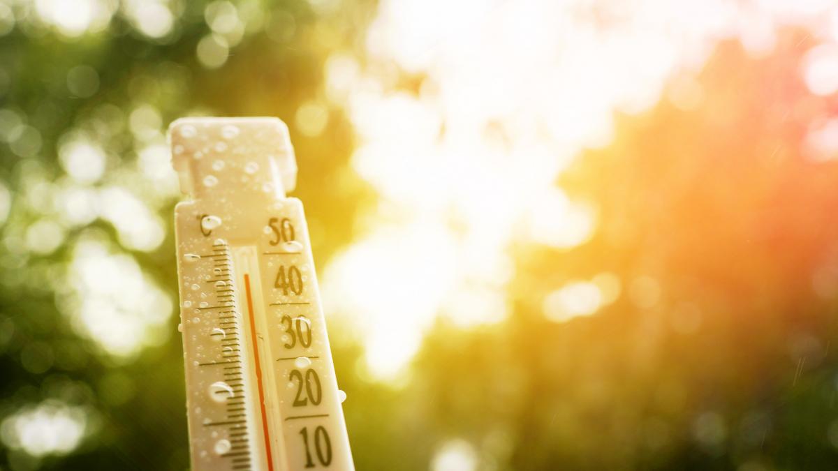 anm anunta temperaturi peste medie si ploi prognoza meteo pentru urmatoarele 4 saptamani