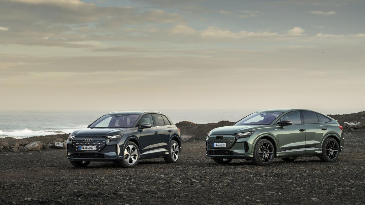 doua-masini-audi-electrice