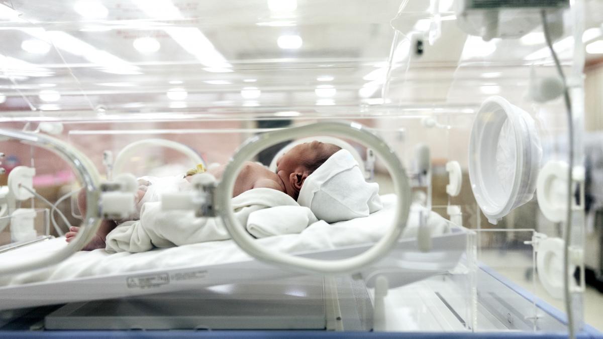 incubator-cu-bebelus