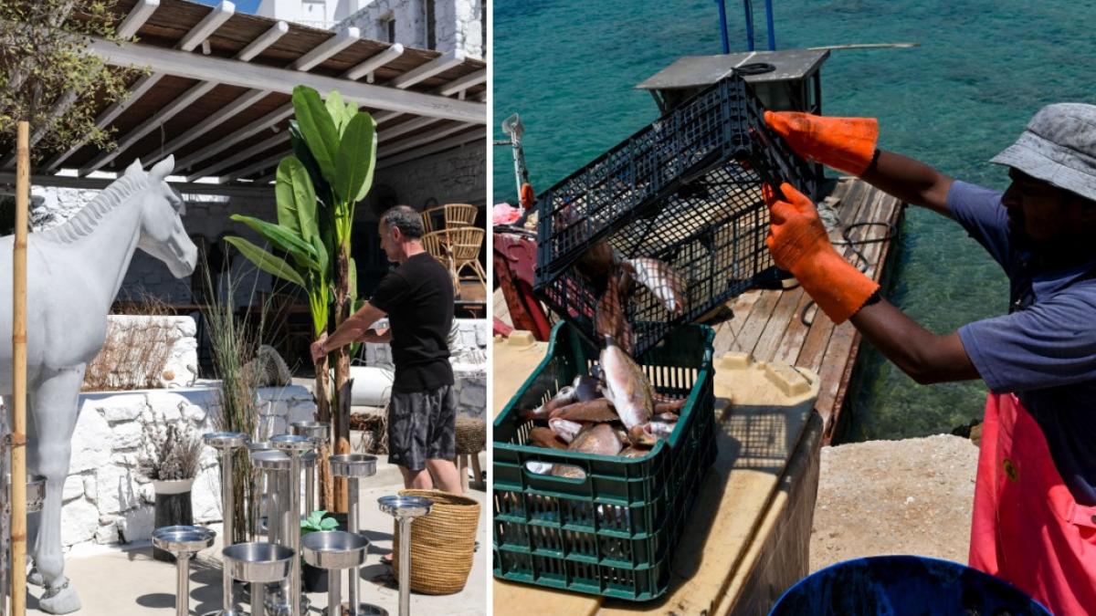 colaj 2 poze cu angajati straini in Grecia