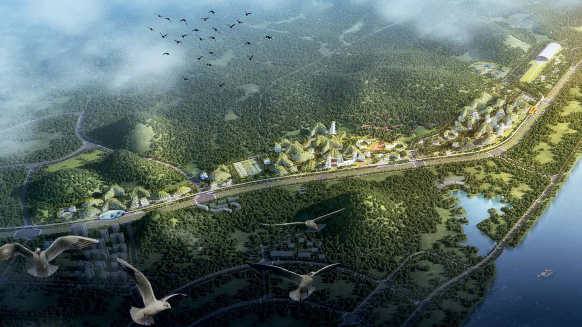 china contruieste un oras padure in care 40 000 de copaci vor creste pe cladiri pentru a combate poluarea cum va arata liuzhou forest