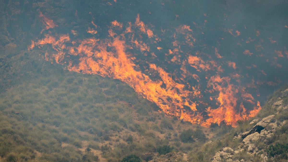 cine sunt victimele din incendiul de vegetatie din almeria considerat unul dintre cel mai grave din istoria recenta a spaniei