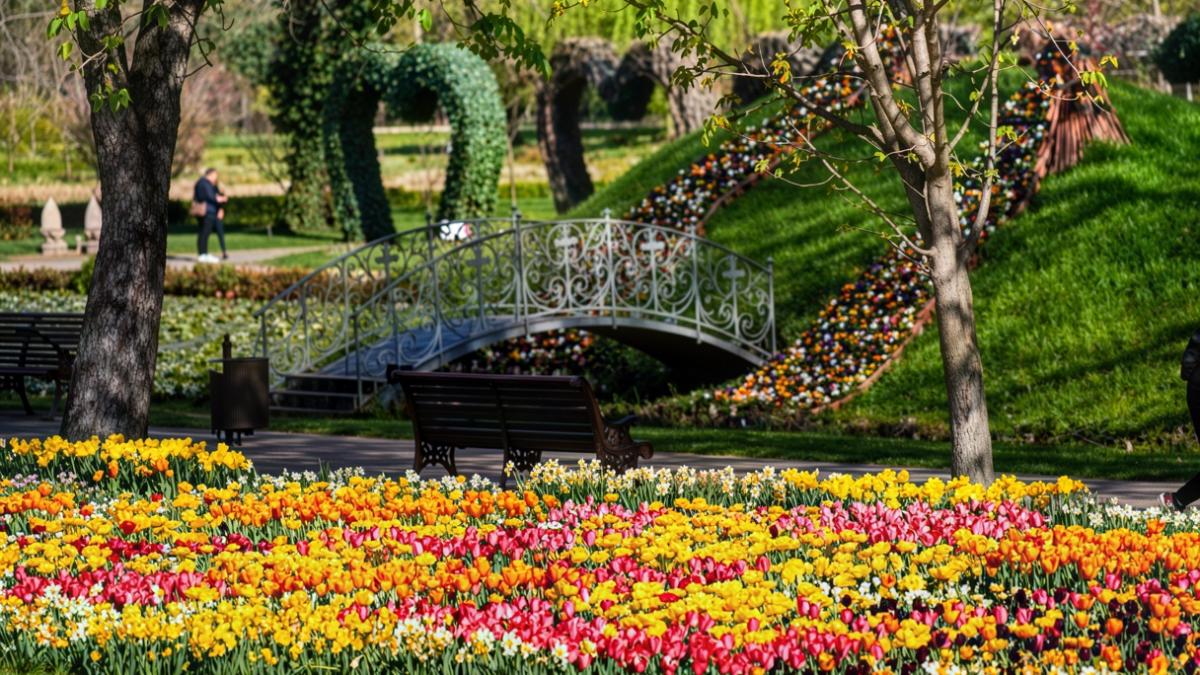 municipiul craiova a fost inclus de forbes pe lista celor 17 destinatii magice din europa