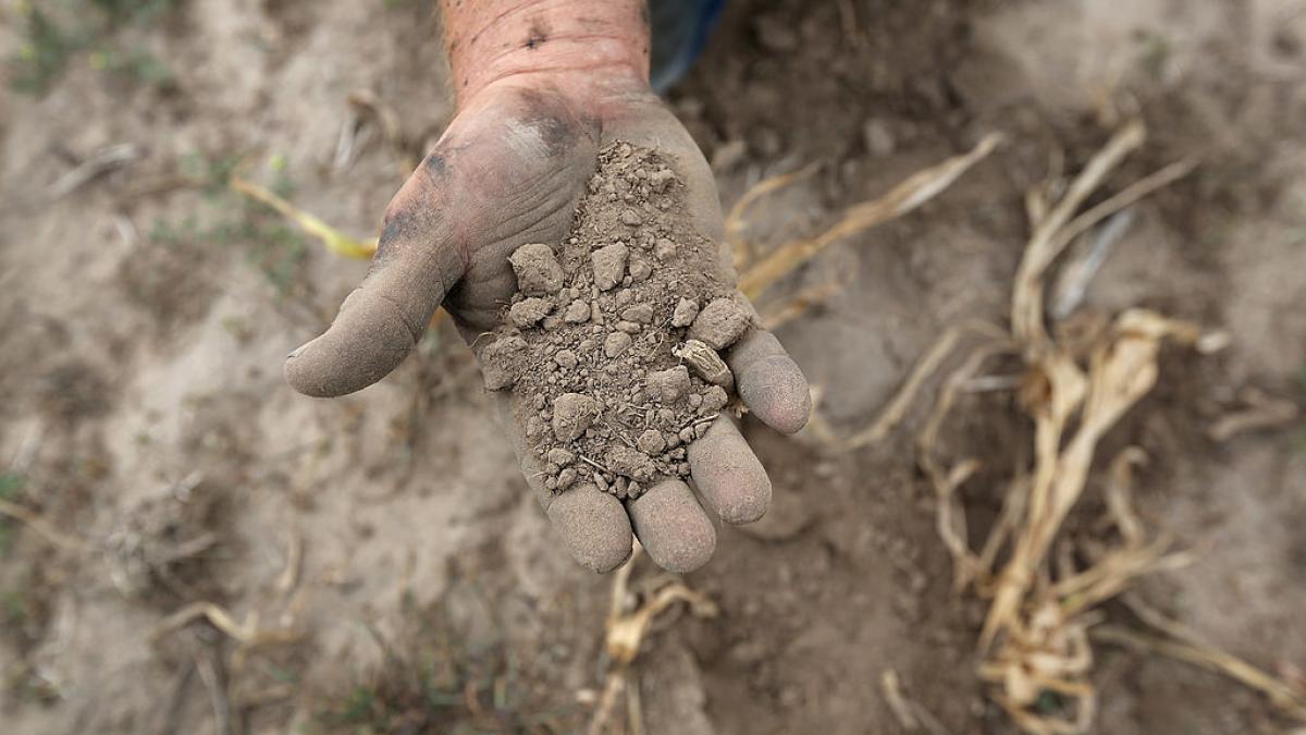 cum va schimba incalzirea globala agricultura lumii harta interactiva care arata zonele cele mai afectate pana in 2100