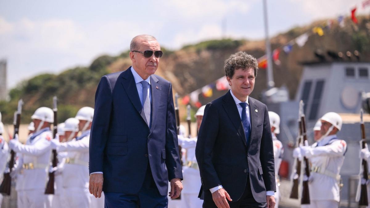 nicusor dan si recep erdogan