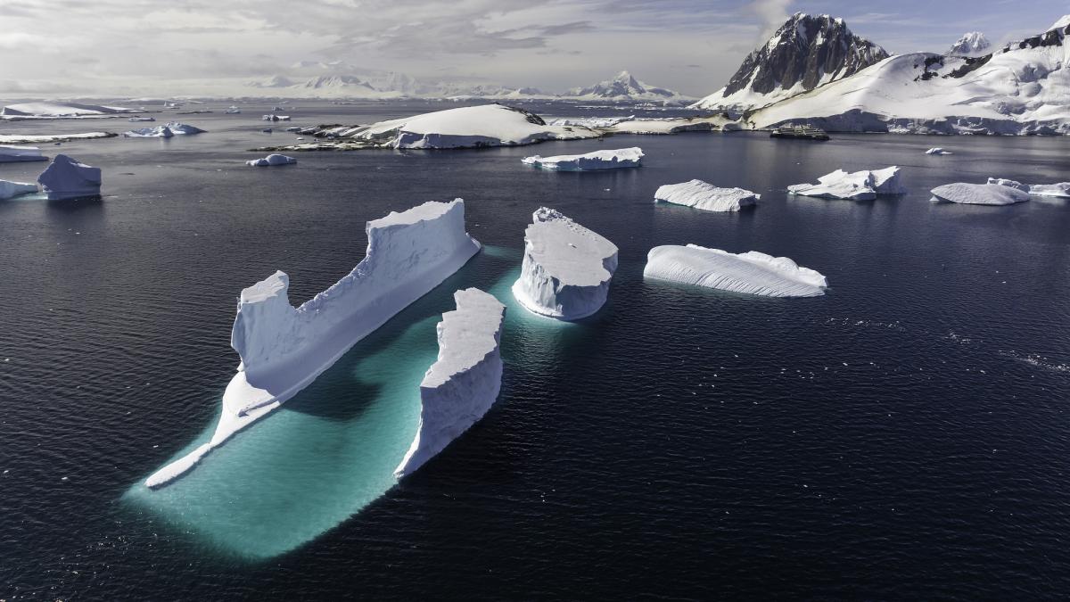 oamenii de stiinta au descoperit un oras subacvatic cu 60 de milioane de cuiburi de pesti sub gheata antarcticii