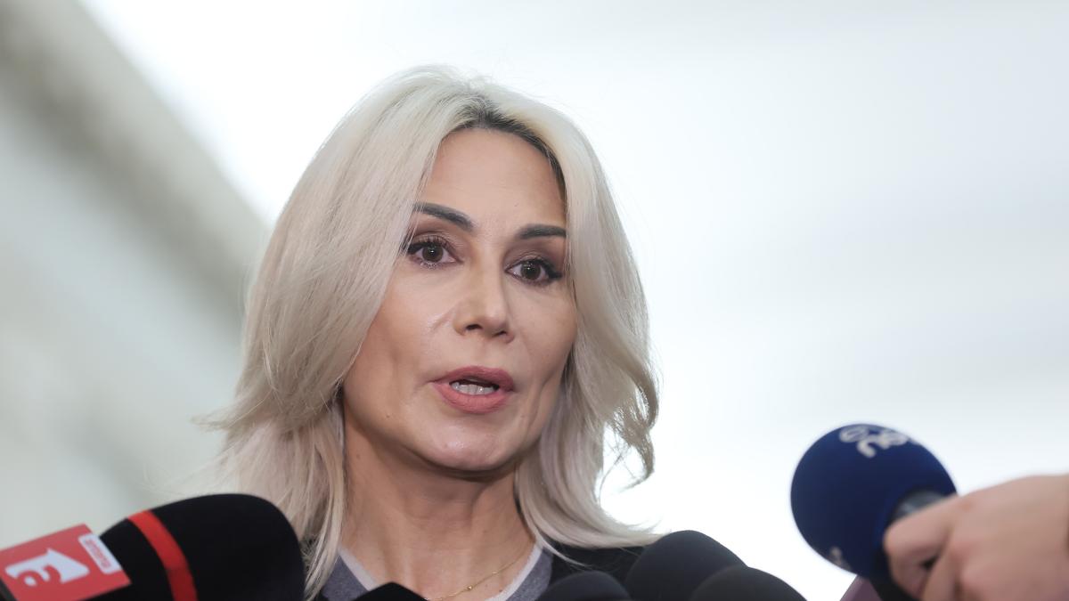 raluca turcan spune ca platforma conservatoare din pnl pare construita in birou la grindeanu executa comenzile psd