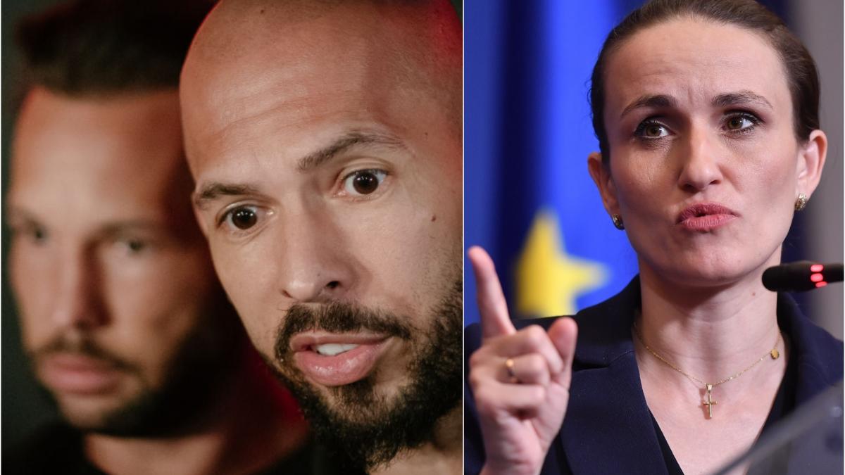 unul dintre fratii tate a incercat sa discute cu oana toiu inainte de arestare cum a reactionat ministra de externe