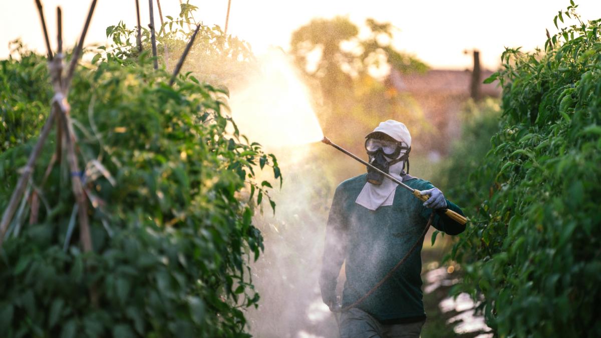 o tara din ue a aprobat reintroducerea unor pesticide interzise ce sunt acetamiprid si flupiradifuron si de ce sunt periculoase