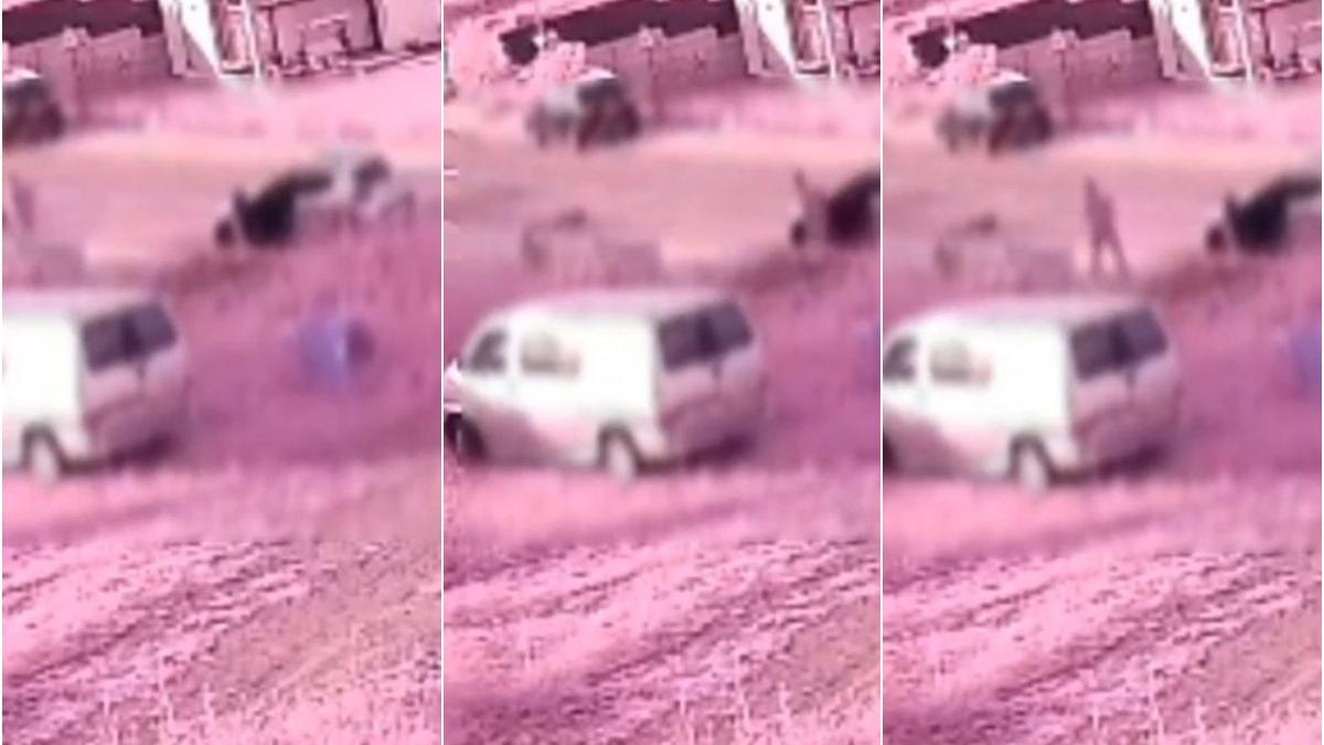 un sofer de ridesharing a urmarit un baiat pe trotineta care i a aratat degetul in trafic l a lovit cu masina si l a luat la bataie