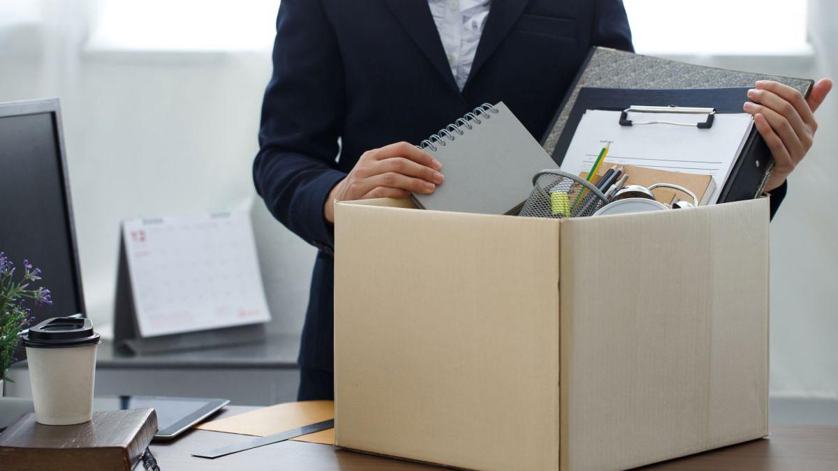 misterul firmelor cu zero angajati din romania doar 4 din 10 declara salariati firma cu cel mai numeros personal are pierderi uriase