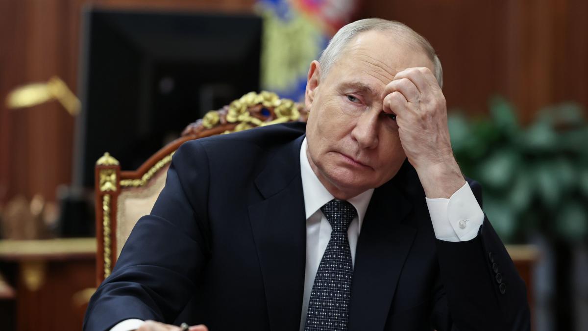 presedintele rusiei vladimir putin