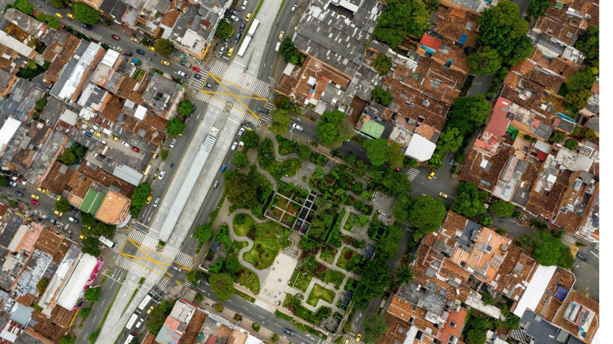 columbia a plantat 880 000 de copaci pe strazile unui oras ca sa combata cresterea temperaturilor zonele umbrite s au racit si cu 5 c