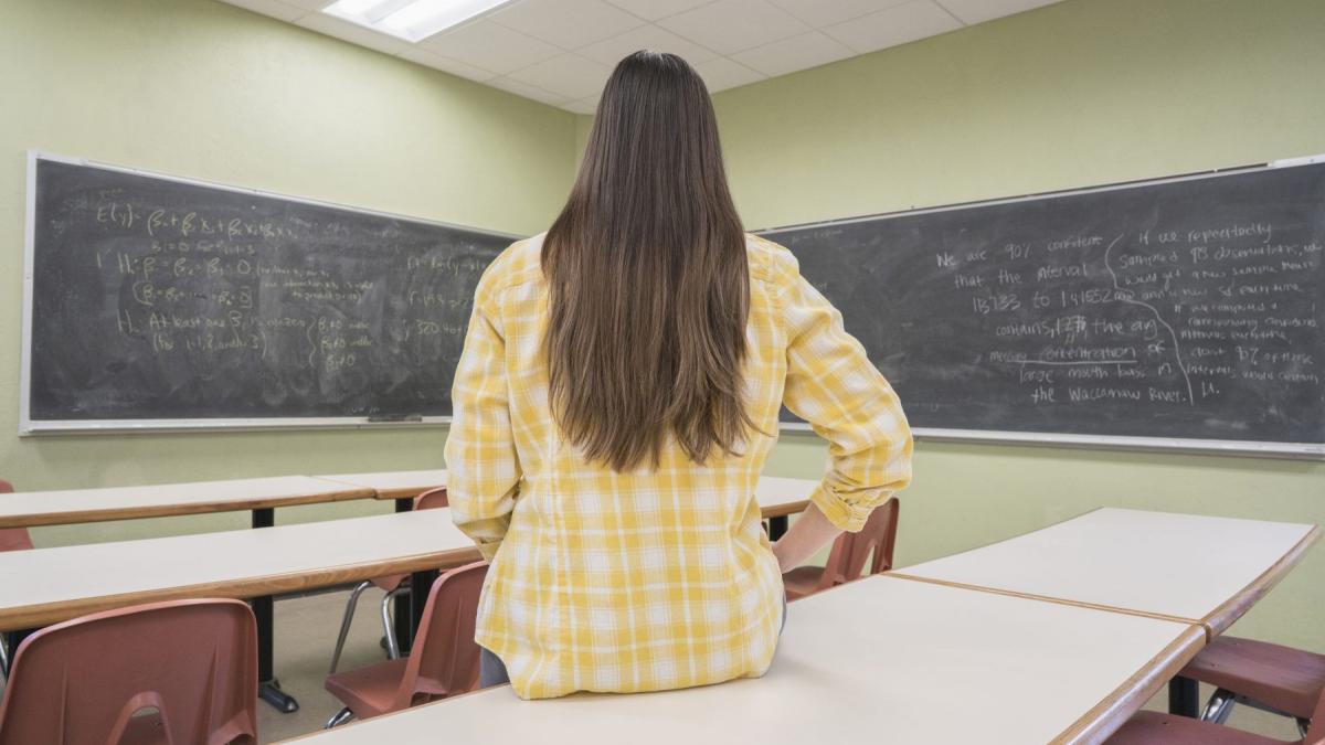 profesoara care sta cu spatele la poza, cu fata la doua table scrise si clasa goala