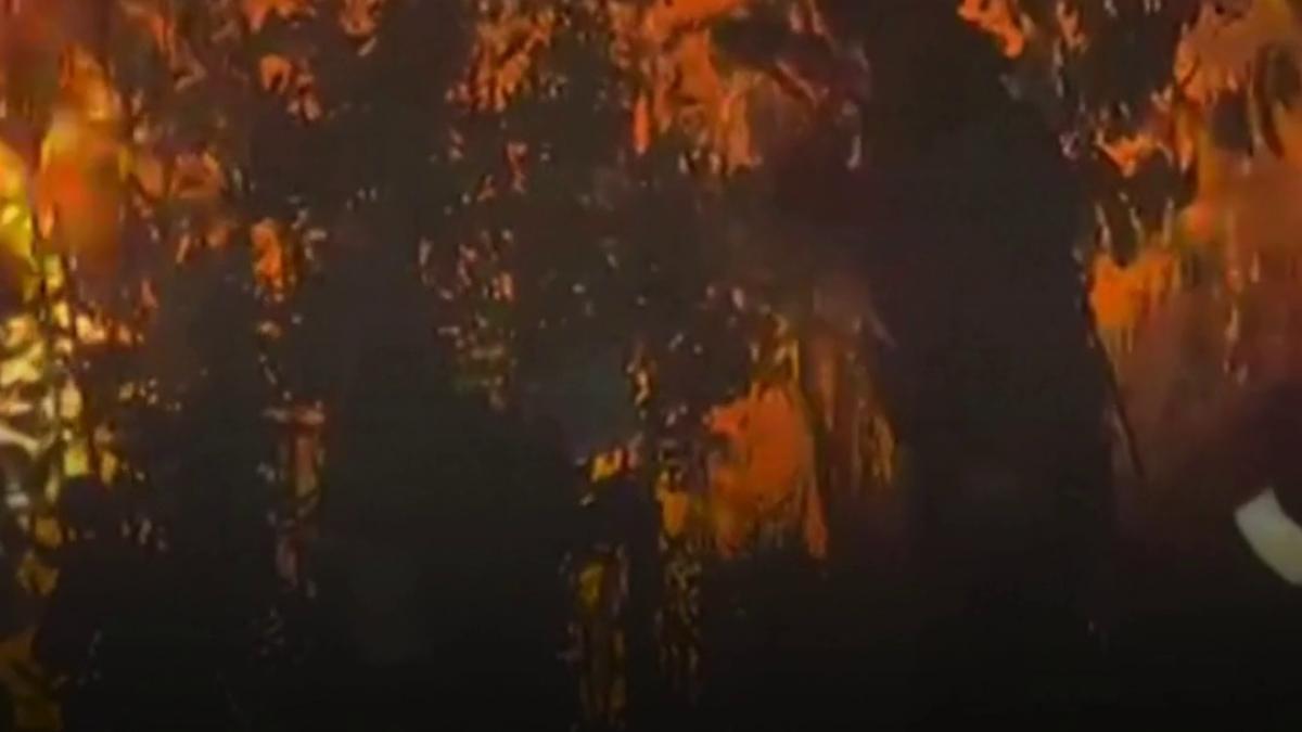 peste 300 000 de oameni au fugit din calea incendiilor din franta si spania orasul bordeaux ar putea fi evacuat complet