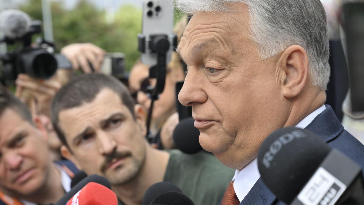 presa maghiara imperiul media al fidesz din transilvania ar putea ajunge in mainile unui senator udmr